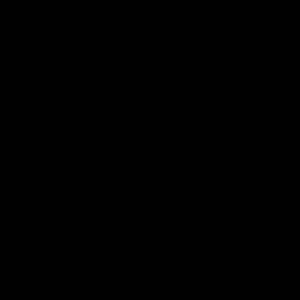 Meet your Posher, Myron